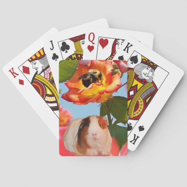 Är han borta ännu? Försökskaninnederlag från bi på Kortlek (Baksidan)