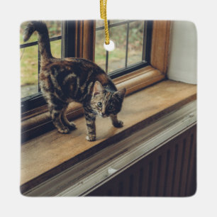 Är hur mycket den kattunge i fönstret? julgransprydnad keramik