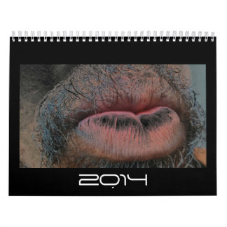 År i år ut kalender