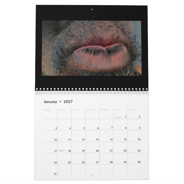 År i år ut kalender (Jan 2027)