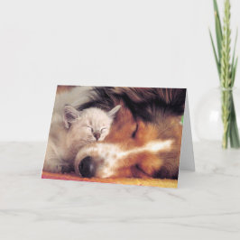 Är inte Kärlek Grand Kort