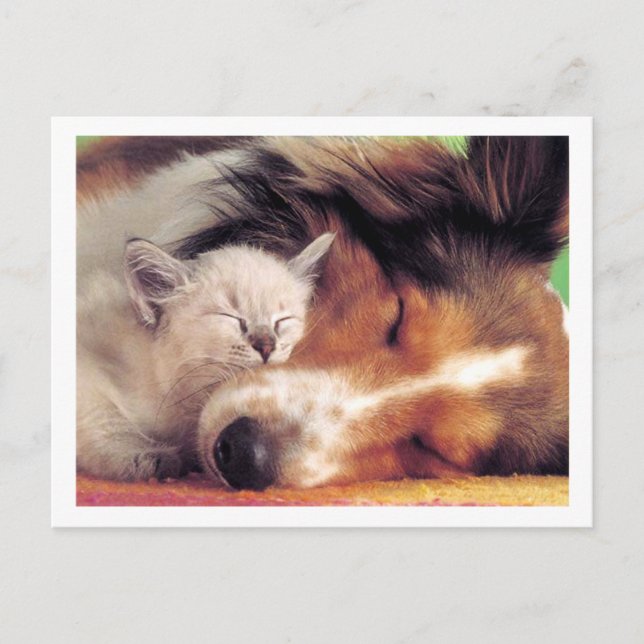 Är inte Kärlek Grand Vykort (Framsida)