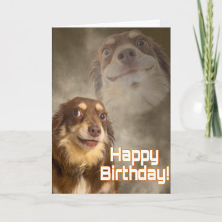 Är jag dramat? kort