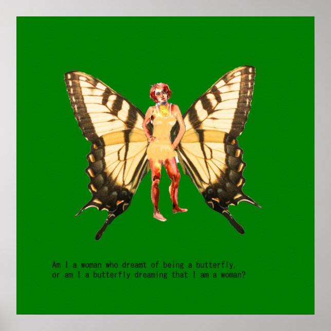 Är jag en kvinna som drömde om att vara en fjäril? poster (Framsidan)