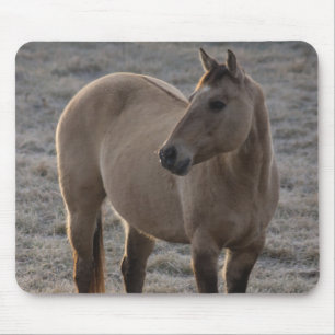 Är jag inte Söt Mousepad? Musmatta