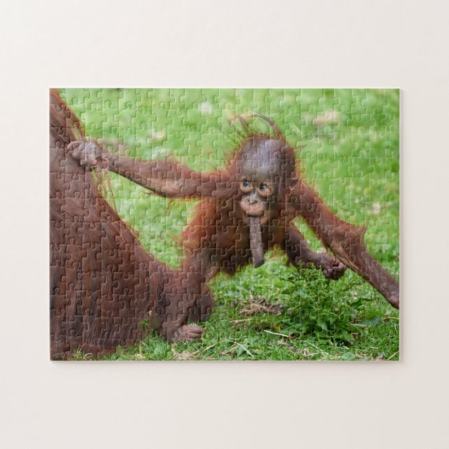 Är jag söt - Orangutangbaby med mamma Pussel (Horisontell)
