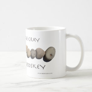 "Är många det gråa fåtalet är Petoskey" den Kaffemugg