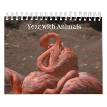 År med djur
