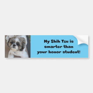 "Är min Shih Tzu mer smart än din hederstudent " Bildekal