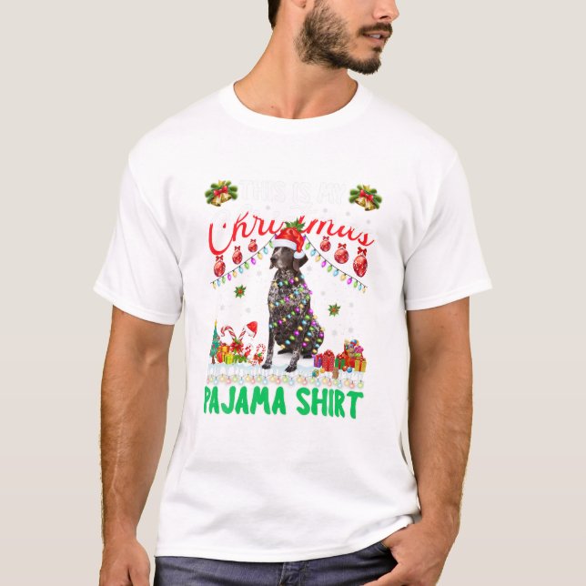 Är min tysk korthårig pointer t shirt (Framsida)