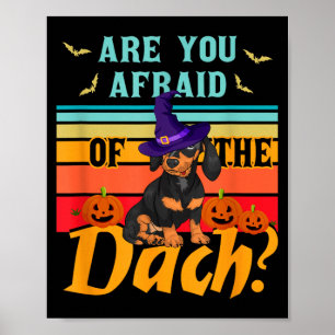 Är rädd för Dach Rolig Dachshund Hund Poster
