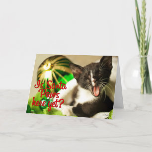 Är Santa Tassar här än? Kort