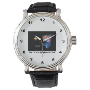 Är vad din Circadian rytm? Armbandsur