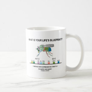 Är vad ditt liv ritning? (Genuttryck) Kaffemugg