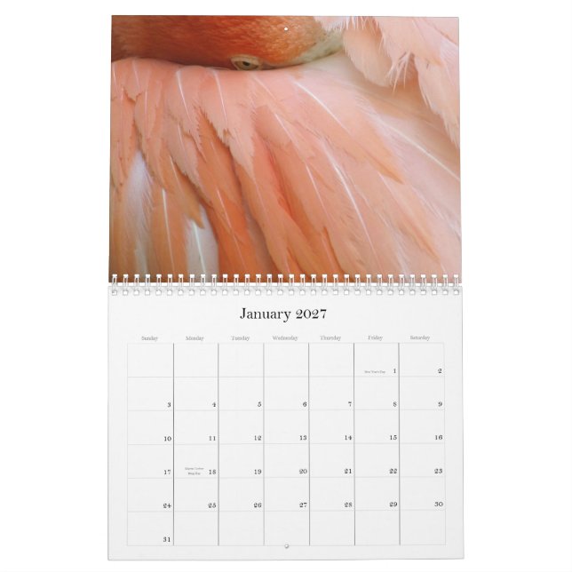 "Är varje dag den Flamingofredag" kalendern Kalender (Jan 2027)