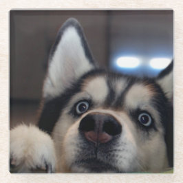 Är vem som helst ut där