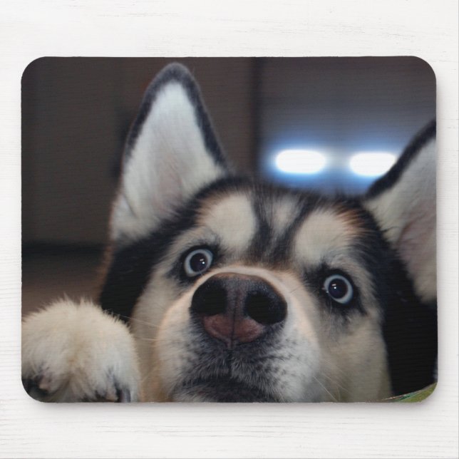 Är vem som helst ut där? musmatta (Framsidan)