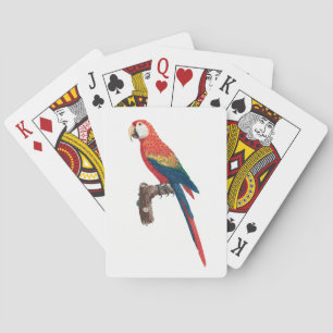 Ara Canga Parrot Casinokort