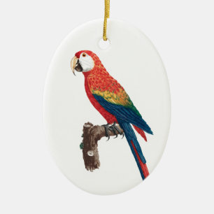 Ara Canga Parrot Julgransprydnad Keramik