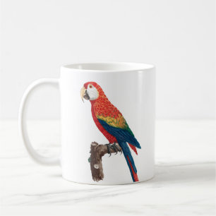 Ara Canga Parrot Kaffemugg