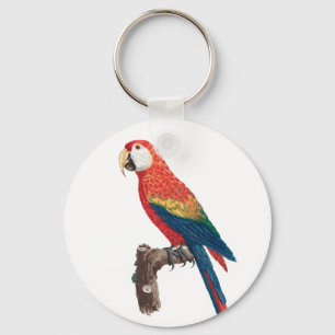 Ara Canga Parrot Nyckelring