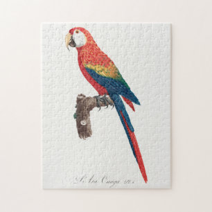 Ara Canga Parrot Pussel