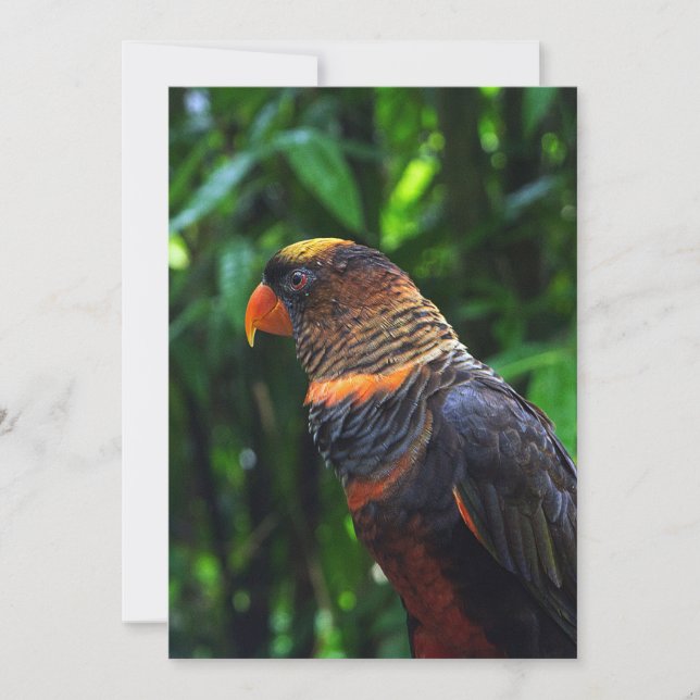 Ara Julkort (Framsida)