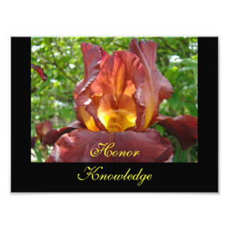 Ära Kunskap Undervisning konsttryck Iris Blommor Fototryck