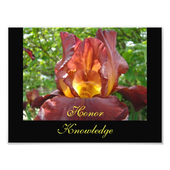 Ära Kunskap Undervisning konsttryck Iris Blommor Fototryck (Framsidan)