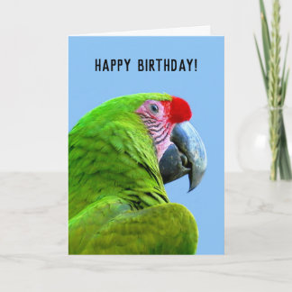 Ara Militaris Grönt Parrot Kort