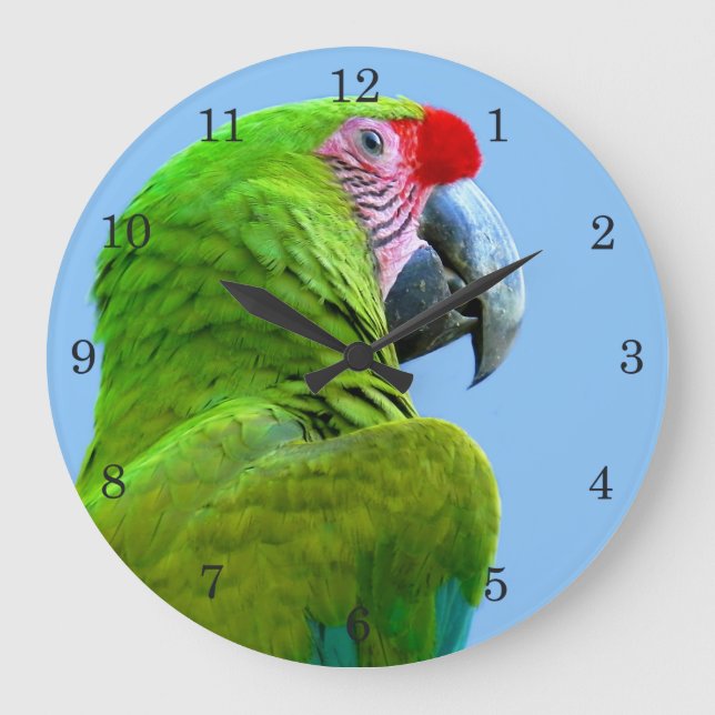 Ara Militaris Grönt Parrot Stor Klocka (Framsida)