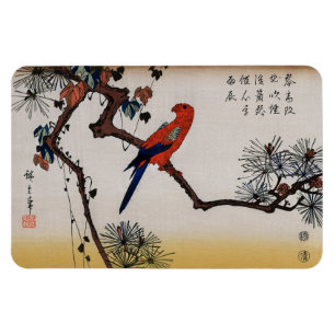 Ara på tallgren, Hiroshige Magnet