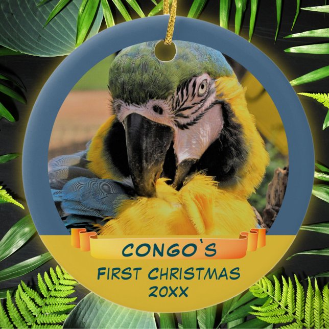 Ara Parrot Pet 1: a julribbon Photo Julgransprydnad Keramik (Skapare uppladdad)