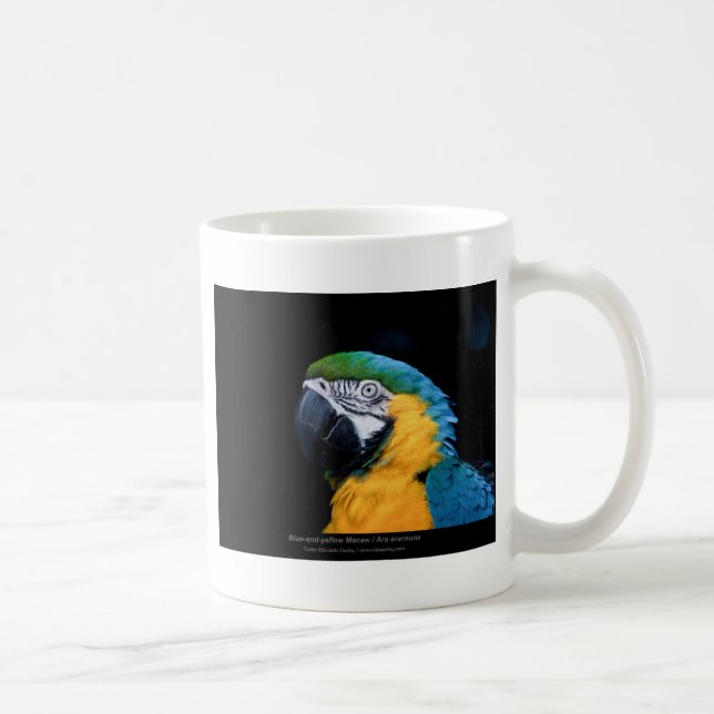 Araararauna - Blått-och-gult Macaw 01 Kaffemugg (Höger)