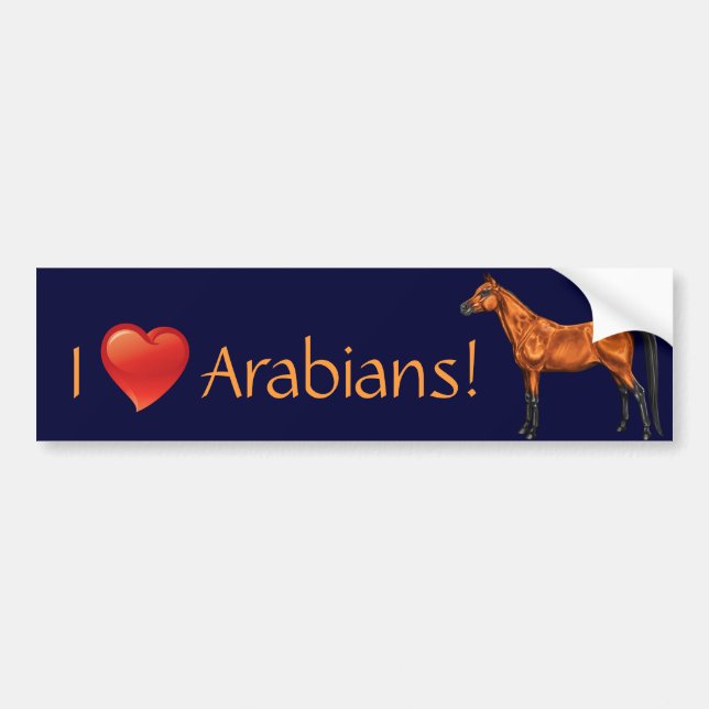 Arab Bildekal (Framsidan)