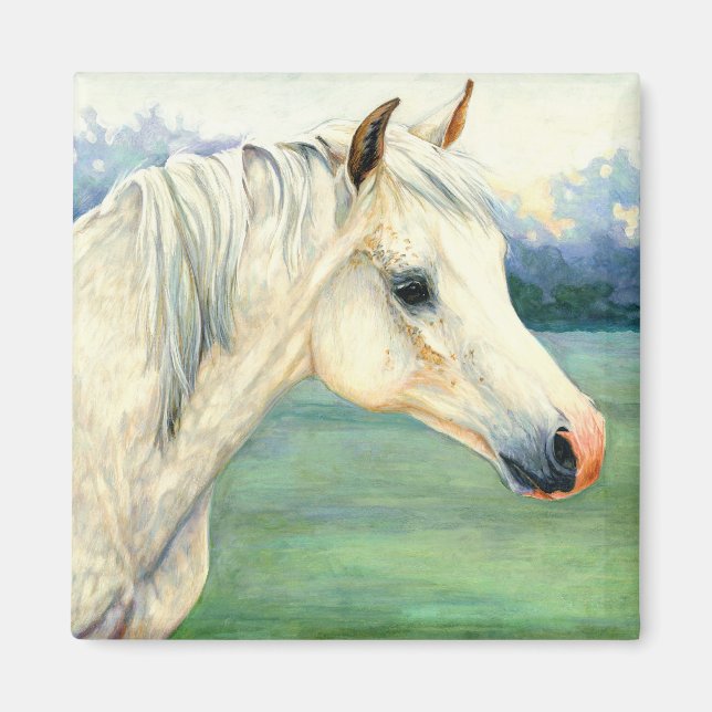 Arab Horse Magnet (Framsidan)
