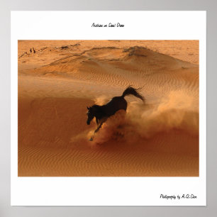 Arab på Sanddynen Poster