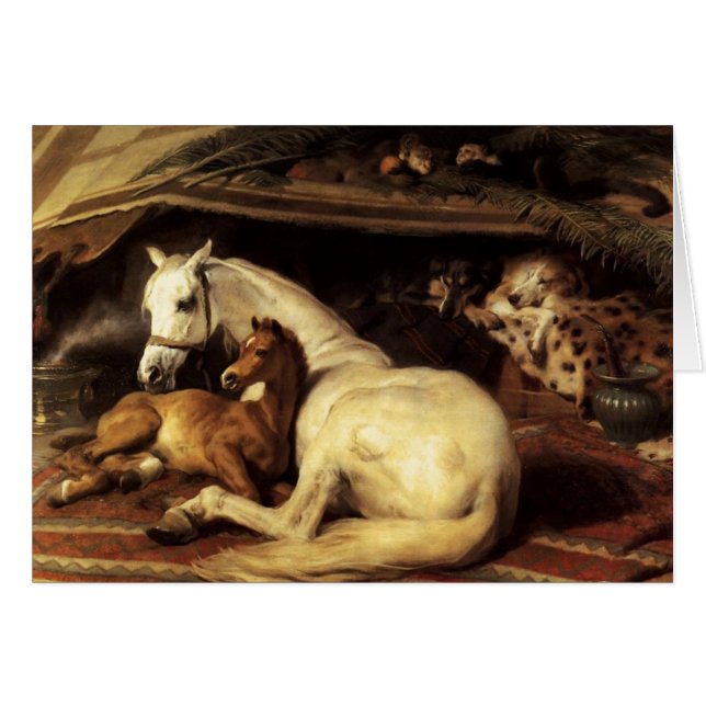 ARAB TÄLT MED HÄSTAR OCH DJUR HÄLSNINGSKORT (Framsidan Horizontal)