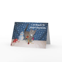 Arabella Cat - Vit jul