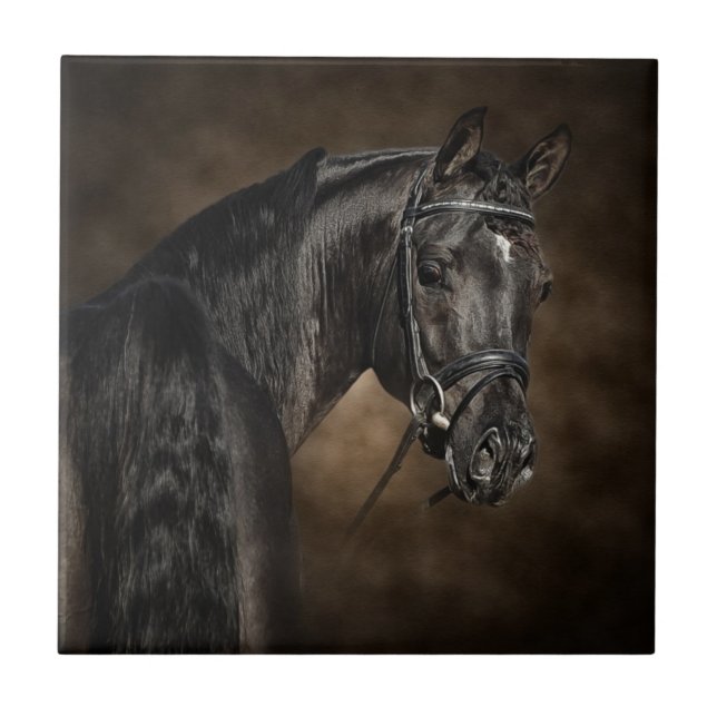 Araben Kakelplatta (Framsidan)