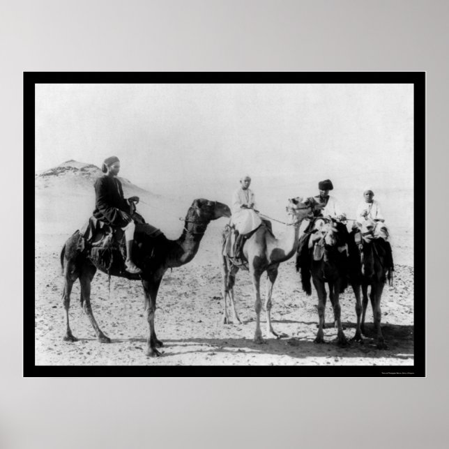 Araber på Camels i Saharaöknen 1914 Poster (Framsidan)