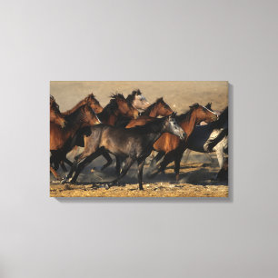 Araber som springer i öknen canvastryck