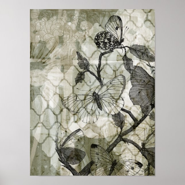 Arabesque Butterflies II Poster (Framsidan)