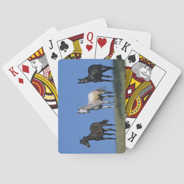 Arabgruppen Spel Kort (Baksidan)