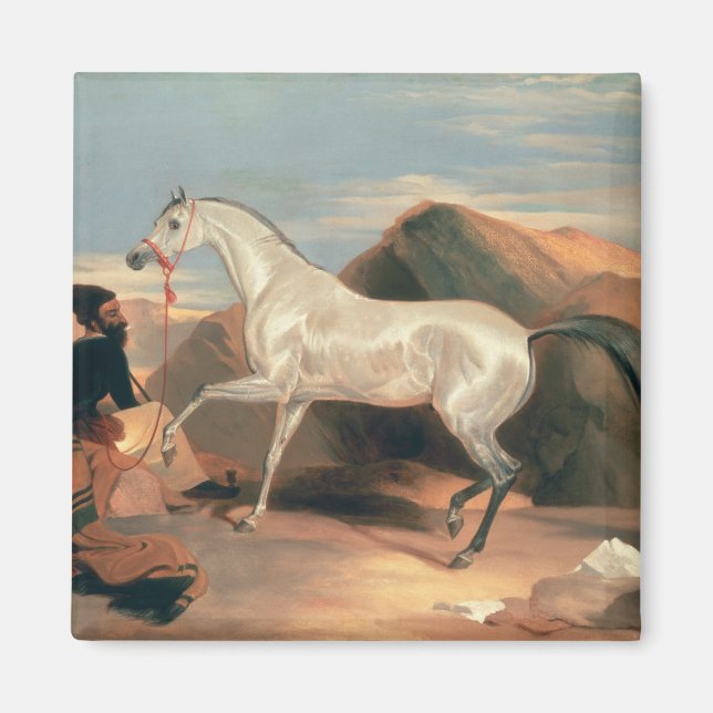 Arabhallion Magnet (Framsidan)