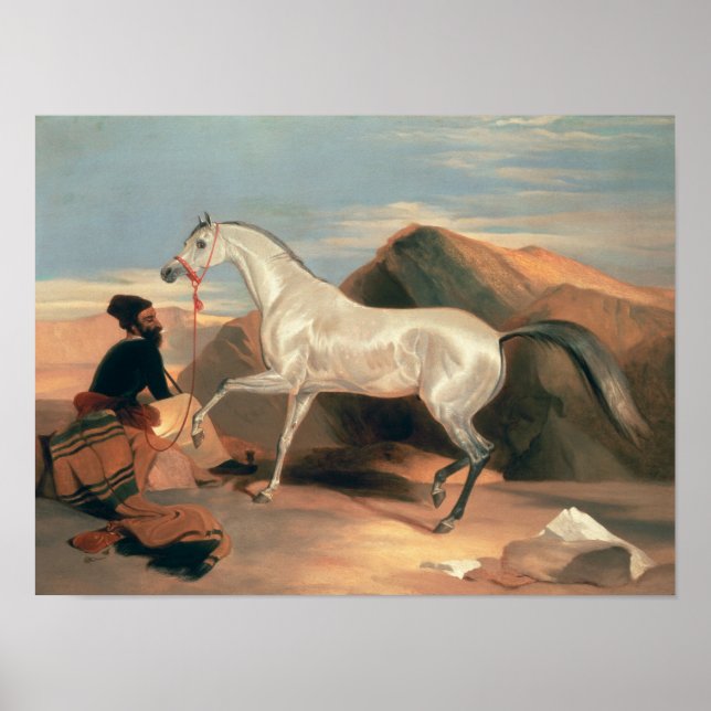 Arabhallion Poster (Framsidan)