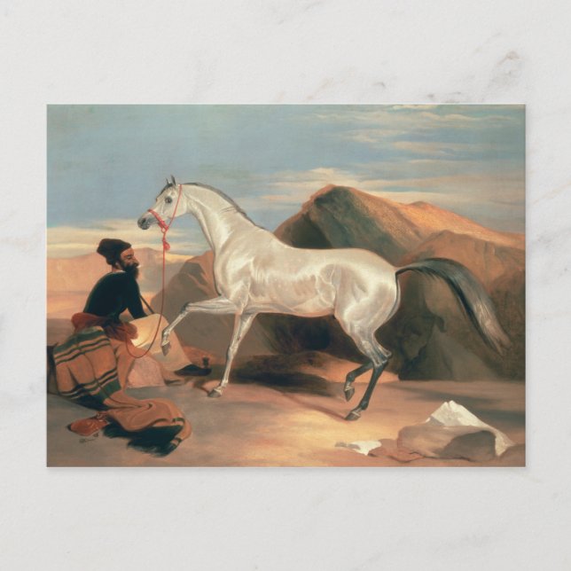 Arabhallion Vykort (Framsida)