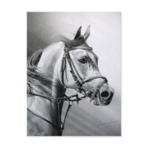 ARABIAN BEAUTY vykort