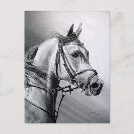 ARABIAN BEAUTY vykort