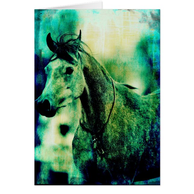 Arabian Blues Hälsningskort (Framsidan)